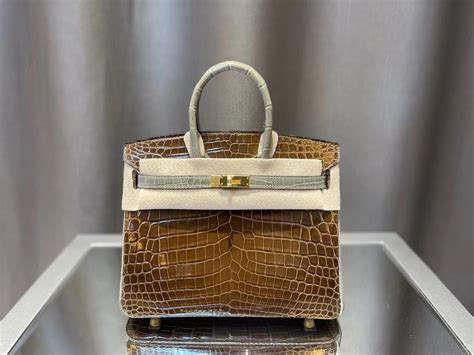 hermes birks|the birkin bag.